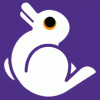 Rabbit Duck Illusion (Credit: mindfake.com)