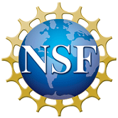 Applying for the NSF: Our own experiences