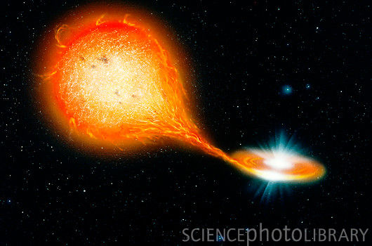 A Tale Of Two Stars: Early Results From The Type Ia Supernova SN2011fe (Part II)