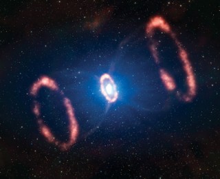 The Supernova Early Warning System
