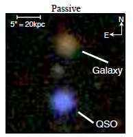 Not Dead Yet: Signs of Cool Gas Around Elliptical Galaxies