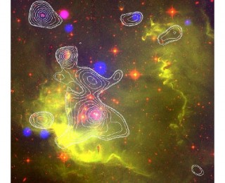 First discovery of X-ray emission from young stars in the Small Magellanic Cloud