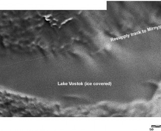 Gas Abundances in the “Lost World”: Dissolved Gases in Lake Vostok
