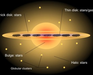 Galactic Archaeology through Stars