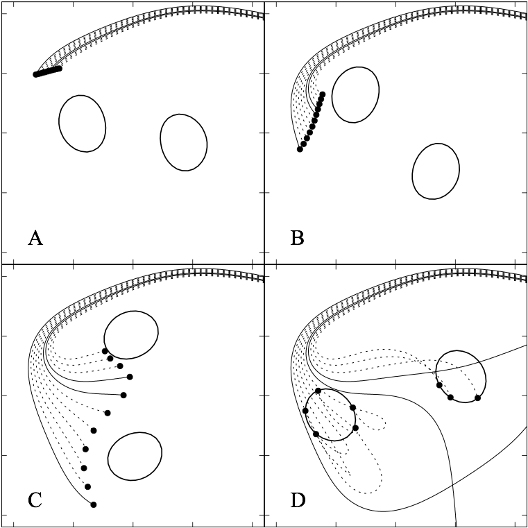 Fig. 2: Backwards-in-time trajectories of light rays through the simulated BBH merger. The ovals represent the black holes' event horizons: surfaces of no escape. Dashed trajectories terminate in a black hole, while solid trajectories go off to spatial infinity. Because the rays are traced backwards through time, the bottom right panel shows the earliest snapshot, and 'terminate in' really means 'originate from'.