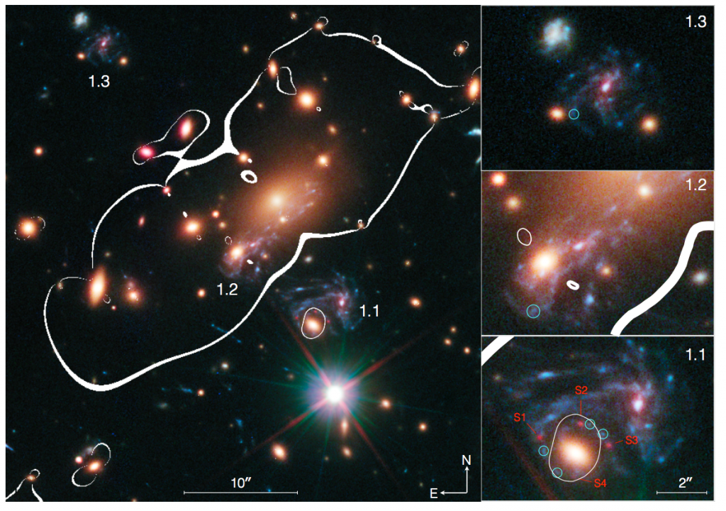 Schödl, Rosé Supernova