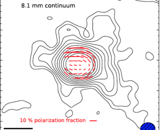 Protostar Polarization: The Role of Magnetic Fields in Star Formation