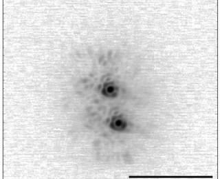 A Nested Binary System