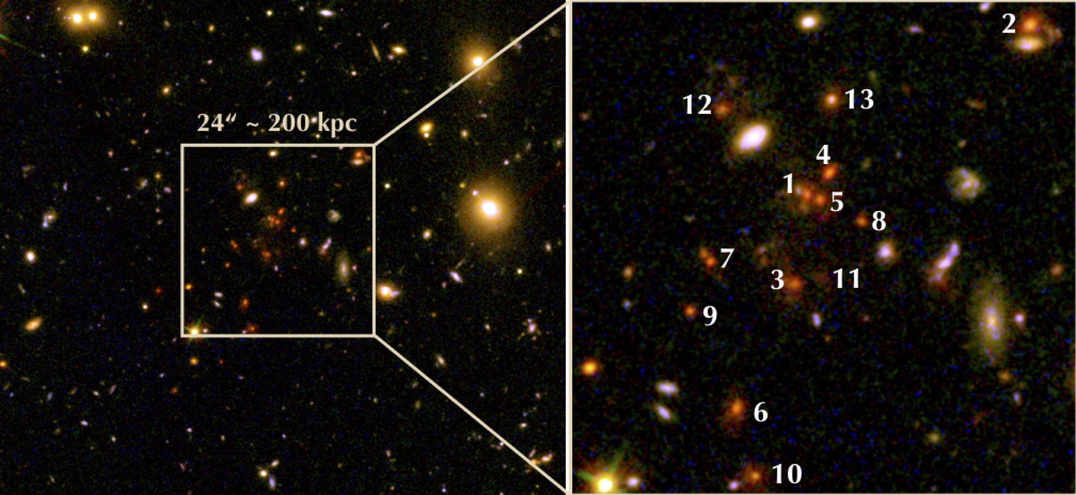 Baby Photos Of A Galaxy Cluster Astrobites