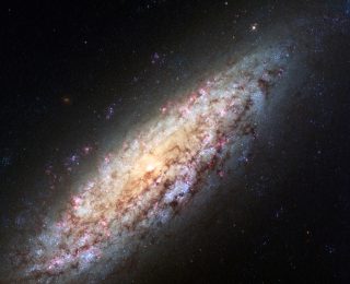 Further Clues to Dark Matter in Galaxy Rotation Curves