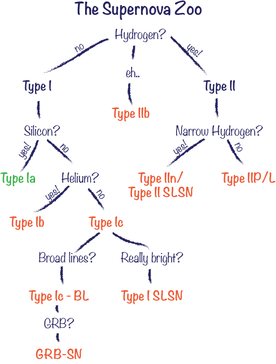 SN classification scheme