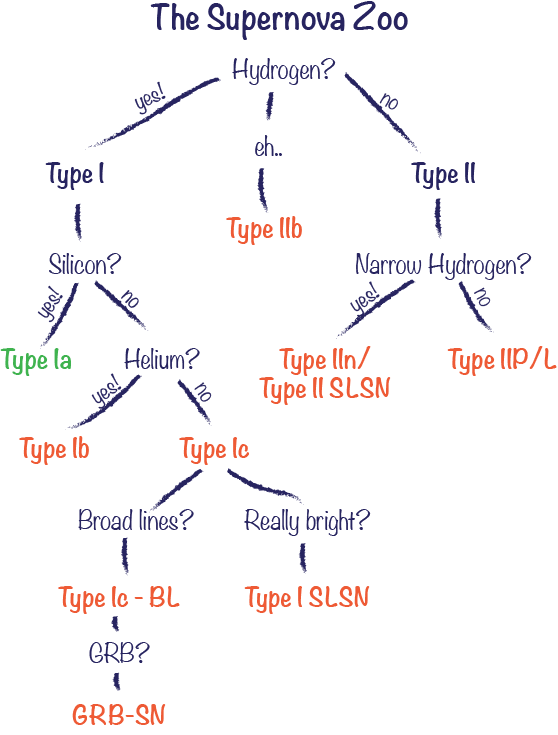 Classifying Supernovae | Astrobites