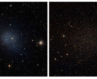 Dark Matter in the Milky Way: ‘A Matter of Perspective’