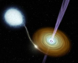 How, what and when of neutron star-white dwarf mergers