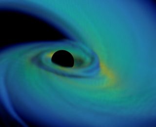 Ideal cosmic yardstick: neutron star black hole mergers as standard sirens