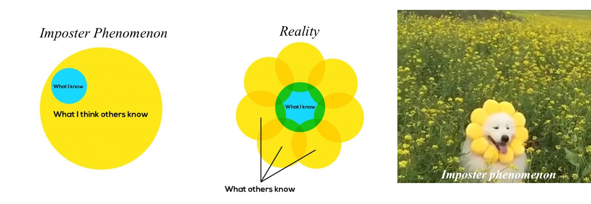 Left: big circle "what I think others know" with smaller circle "what I know" inside denoting imposter phenomenon; Middle: circle "what I know" with overlapping circles on the outside "what others know" denoting reality; Right: dog in a flower costume in the middle of a field of flowers representing the imposter phenomenon