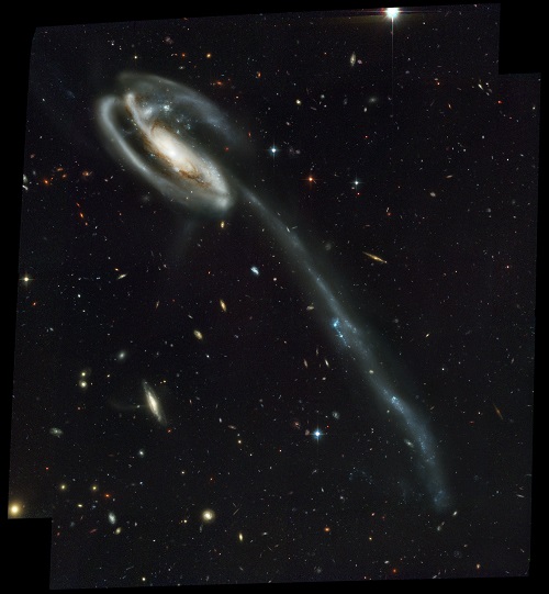 The Tadpole Galaxy, so-named for a tidal tail extending outward many times its own diameter.