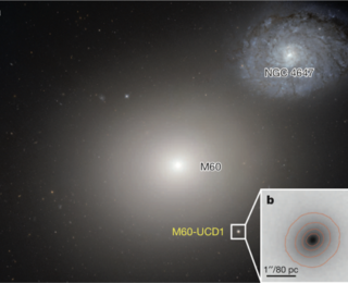 Small, but Mighty! A galaxy robbed of its stars but contains a supermassive secret.