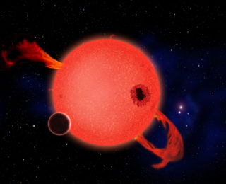 Combining Ground and Space-based Observations to Find EvryFlare