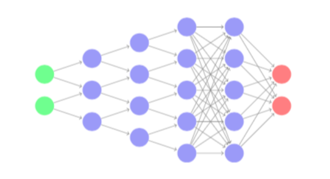 A neural network, two green circles, then purple circles in columns where the number in each column increases going to the right, and the number of connections changes between each, ending with two pink circles