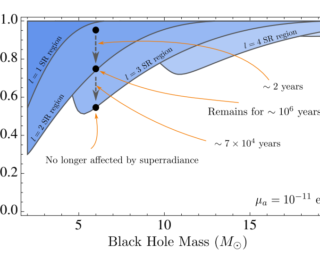 Bosons in the Sky with Black Holes