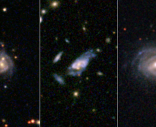 Make Our Galaxy Grow: Massive Disk Galaxies in the Local Universe