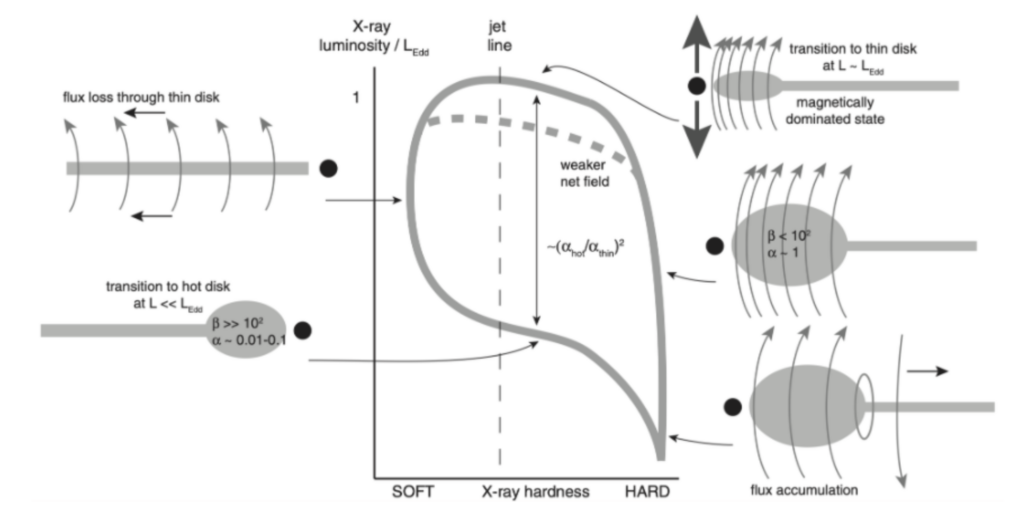 Illustration of proposed disk shape evolution and how this affects the X-ray luminosity and X-ray hardness