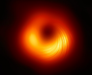 This Black Hole Has Some Pol (arization)