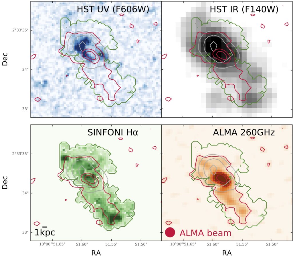 Four panel figure showing images of the galaxy in four different wavelengths. The images are highly resolved and detailed. Each shows similarly extended emission with slightly different shapes which demonstrates the spatial offset between obscured and unobscured star formation.