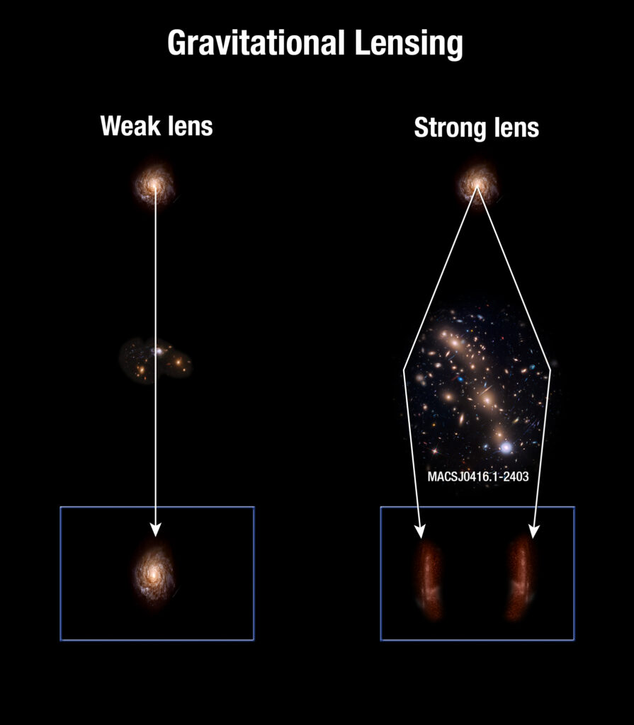 At the top are the words "Gravitational Lensing". Below, the image visually splits into two columns. The one on the left is titled "Weak lens" and below that shows a circular galaxy. Below the galaxy is a small cluster of different galaxies, and below that is an image of the original circular galaxy, but its shape is distorted so it's more like a vertically-standing egg. A white arrow is drawn from the top circular galaxy, through the cluster, to the distorted galaxy to show that when there is a less-massive cluster of galaxies in front of a source, we see that source as slightly elongated (i.e. sheared). This is called weak lensing. On the right column is the opposite effect (strong lensing): we start with a circular galaxy at the top as before, but this time there is a very massive cluster in front of it. In this case there are two arrows stemming from the top galaxy that go around the cluster. Each arrow ends at a very dramatically elongated and redder image of the initially purely-circular galaxy, which now looks like two giant arcs.