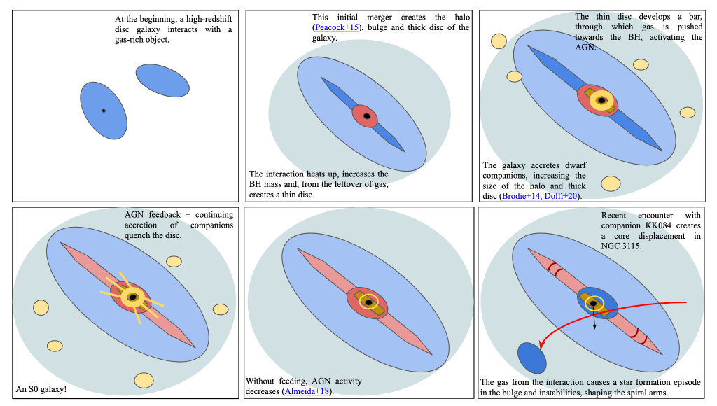 An image of how a galaxy formed. It is broken up into 6 panels, each showing a different stage in the galaxy's formation. The top left image shows two blue ovals, the center one with a black dot in the middle and the second one to the upper right and slightly tilted from the central one. The text at the top left of the panel says "At the beginning, a high-redshift disc galaxy interacts with a gas-rich object". To the right of that panel shows a large blue-gray oval (almost circular) taking up most of the panel. Inside the blue-grey oval is another oval, which is lighter blue and thinner, its major axis perpendicular to the larger oval's major axis. Inside this light blue oval is a smaller red oval whose major axis aligns with the light blue oval. From opposite ends of the red oval, 180 degrees from each other, are two darker blue shapes that look like the hands of a clock. At the top right of the panel there is text that says "This initial merger creates the halo (Peacock+15) bulge and thick disc of the galaxy". At the bottom left of the panel is the text "The interaction heats up, increases the BH mass and, from the leftover of gas, creates a thin disc". The panel to the left of this shows the same image comprised of ovals and shapes, but also adds in a dark golden bar within the red oval, a yellow donut also inside the red ellipse, whose center lines up with the black dot at the center of the image, and a few yellow ovals scattered throughout in the largest, grey-blue oval. The text at the top right says "The thin disc develops a bar, through which gas is pushed towards the BH, activating the AGN". The text at the bottom left says "The galaxy accretes dwarf companions, increasing the size of the halo and thick disc (Brodie+14, Dolfi+20)". 
Moving on to the bottom row, at the very left is the same illustration as in the previous panel, but the components that look like clock hands are now colored light red, the scattered yellow ovals are in slightly different positions, and there are 6 yellow rays (lines) coming out the donut shape in the center of the image. The text at the top right says "AGN feedback + continuing accretion of companions quench the disc" and the text at the bottom left says "An S0 galaxy!". The next panel to the right shows the same image again, but without the scattered yellow ovals, yellow donut, or yellow rays. Instead, the yellow donut and rays are replaced by a thin white circle barely larger than the size of the black dot at the center). The text at the bottom right says "Without feeding, AGN activity decreases (Almeida+18). Lastly, the final panel on the bottom right hows the same shapes as before, except the red oval at the center is now blue, and the black central dot has a small arrow pointing directly downwards. The clock-hand-like shapes have two red arcs drawn on either side. There is also a small blue oval located at the bottom left of the image, with a long red arrow stretching from the very right of the image to this blue oval. The top right text says "Recent encounter with companion KK084 creates a core displacement in NGC 3115" and the bottom text says  "The gas from the interaction causes a star formation episode in the bulge and instabilities, shaping the spiral arms".