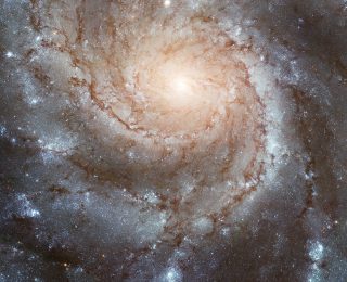 Four Spiral Arms Walk into a Bar…