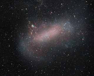 Our Galaxy is Shook: Impact of the LMC on the Outer Milky Way