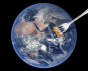 Earth with fork sticking out of it.