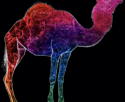 CAMELS simulations logo