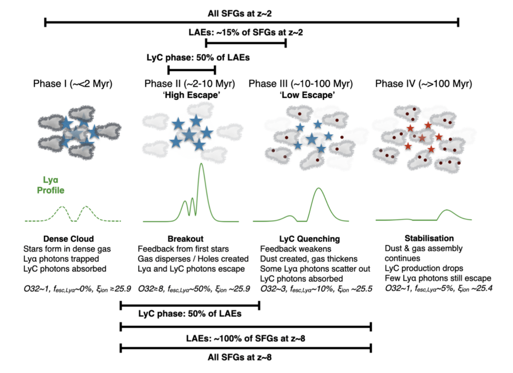 Schematic describing the four phases of star forming galaxies. Phase I is a dense cloud, Phase II is a breakout of photons, Phase III is when LyC is quenched, and Phase IV is stabilization.