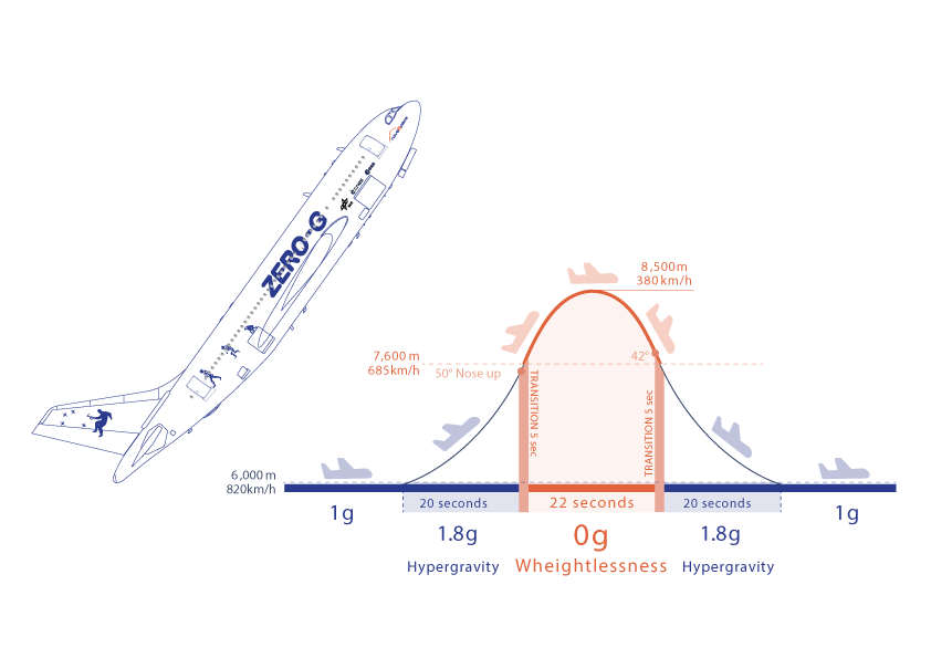 Blue outline of a jet plane with words zero G on side tilted upwards. To the right, a gaussian-like curve with small airplane markers pointing towards the right. the upward slope on the left and downward slope on the right are blue, and marked hypergravity 1.8g 20 seconds. the peak of the curve in the center is orange and marked weightlessness 22 seconds 0g