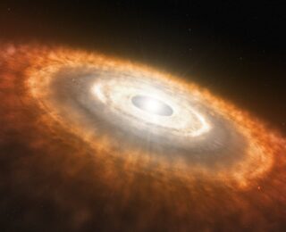 Iron Abundance and the Formation of Terrestrial Exoplanets