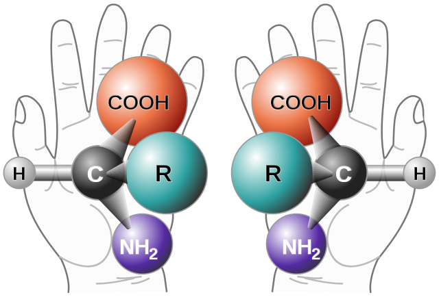 Two hands, one left and one right, holding two copies of a chiral amino acid, one in each hand.
