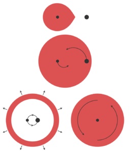 A diagram showing how the common envelope process takes place 