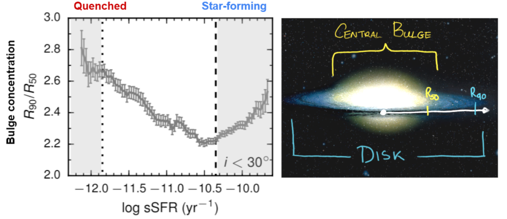 Figure 1. Left:  the relationship between the concentration of stellar light in the central bulge and the specific star formation rate of a galaxy (adapted from Fig. 3, Zhang et al., 2021). Galaxies with more concentrated central bulges also have lower star formation rates in the mass range looked at in this work. Right: the Sombrero galaxy, schematically showing its bulge and disk components, as well as R50 and R90, the radii containing 50% and 90% of the stellar light respectively, used to calculate bulge concentration. 
Image credit: NASA, and Hubble Heritage Team (STScI/AURA).