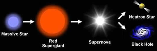 type ii supernova life cycle