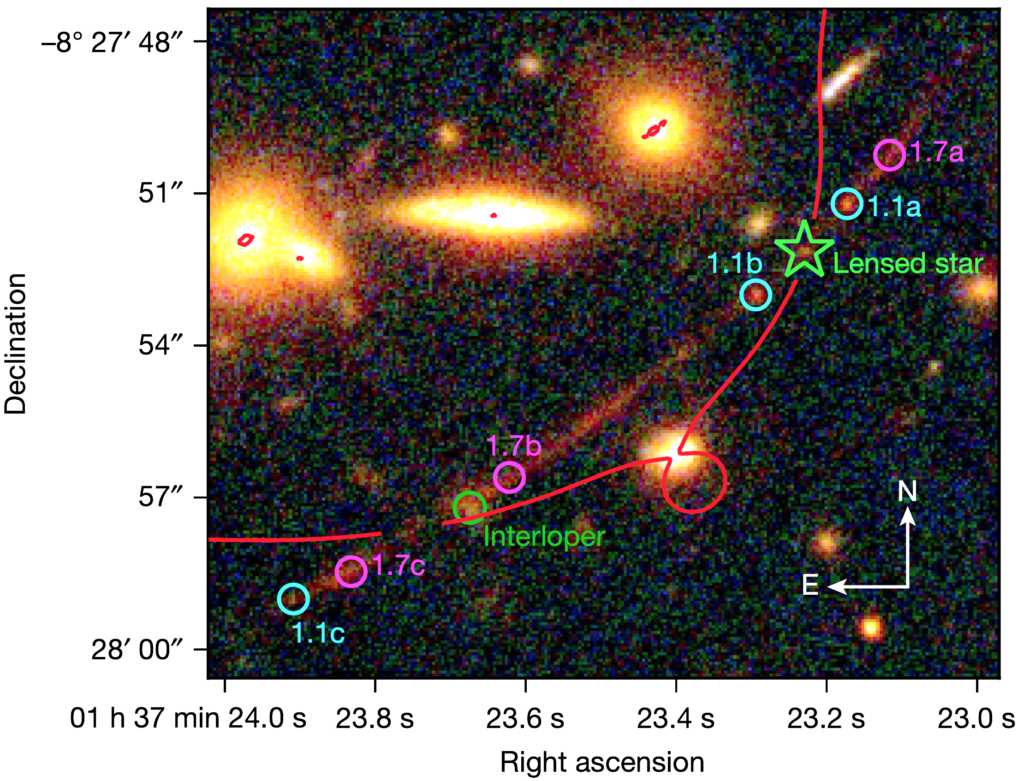 Image showing Declination on the y axis versus Right Ascension on the x axis (spatial coordinates on the sky). Visible are member galaxies of the galaxy cluster acting as the lens system (as reddish-orange blobs), a reddish giant arc from bottom left to top right that is a distorted lensed image of Earendel's host galaxy, with Earendel highlighted in green. The imaginary critical curve from the lens model showing a line of extremely high magnification cuts through the giant arc almost exactly at Earendel's position.