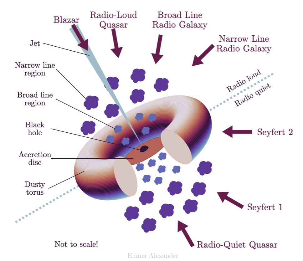 A diagram showing different types of active galactic nuclei. In the center is a black hole, with an accretion disk around it. There is a jet perpendicular to the accretion disk, and a maroon arrow points towards the jet labeled "blazar", showing that blazars are seen when the jet is pointed towards the observer.