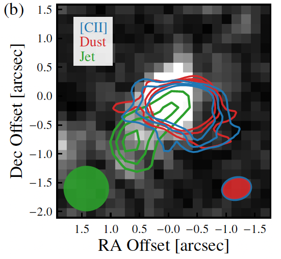 Composite image showing detections of the galaxy at various wavelengths. The [CII], dust, and rest-UV detections are fairly coincident while the radio emission is notably offset.