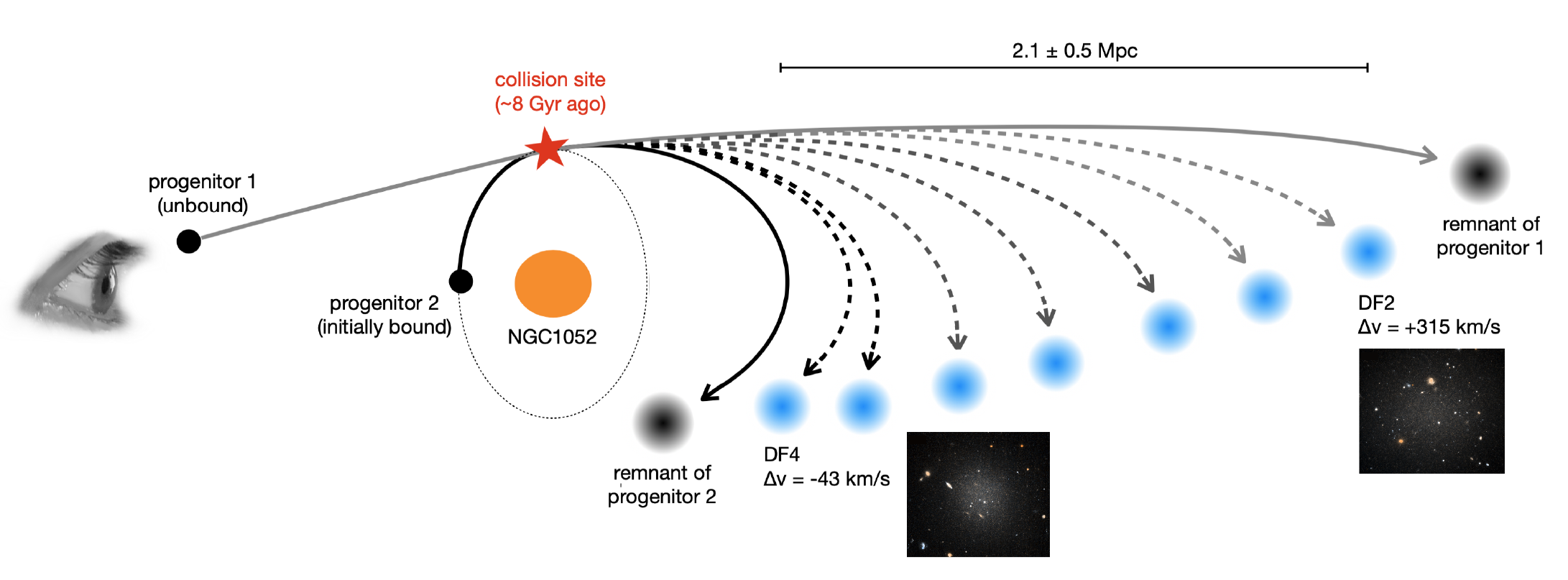 Schematic diagram, showing a galaxy ("progenitor 1") approaching a second galaxy ("progenitor 2"), which is orbiting around a group ("NGC1052"). A point in the orbit of progenitor 2 is labelled as the collision site of these two galaxies. These two galaxies are then shown to split into seven smaller objects, plus two that are labelled as "remnants", coloured black to represent their high dark matter content.