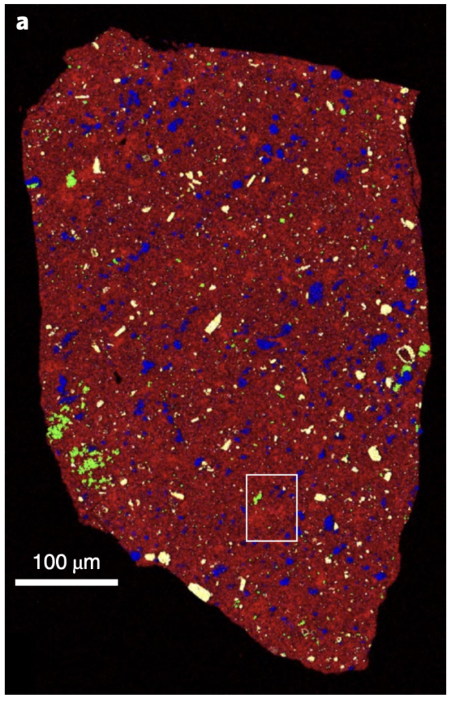 Maps of element distributions in a slice of a Ryugu sample. Most of the sample is magnesium, but there are smaller inclusions that are high in calcium, iron, or sulfur.