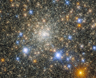 Tracing back the origin of Globular Clusters in the Milky Way
