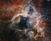 A color JWST photo of the Tarantula Nebula