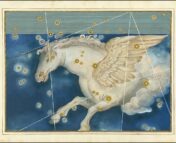 Image of a white pegasus (horse with wings) against a blue backdrop with stars